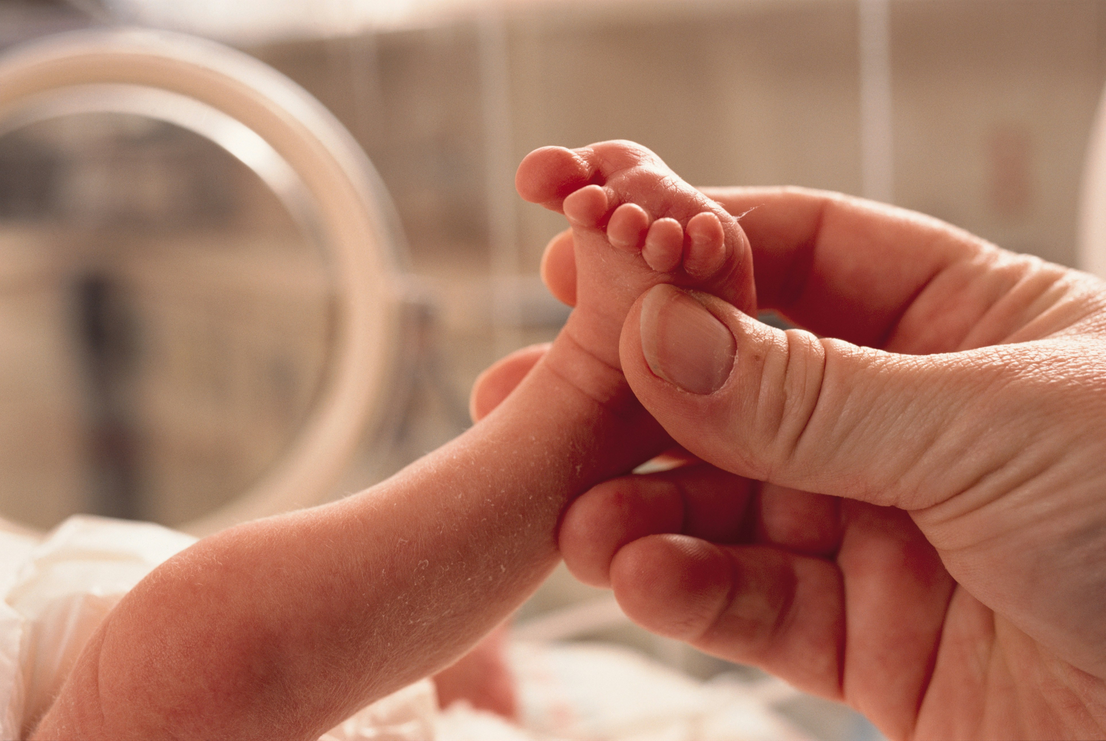 Newborn