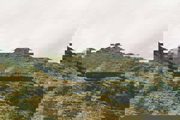 Rural Developments