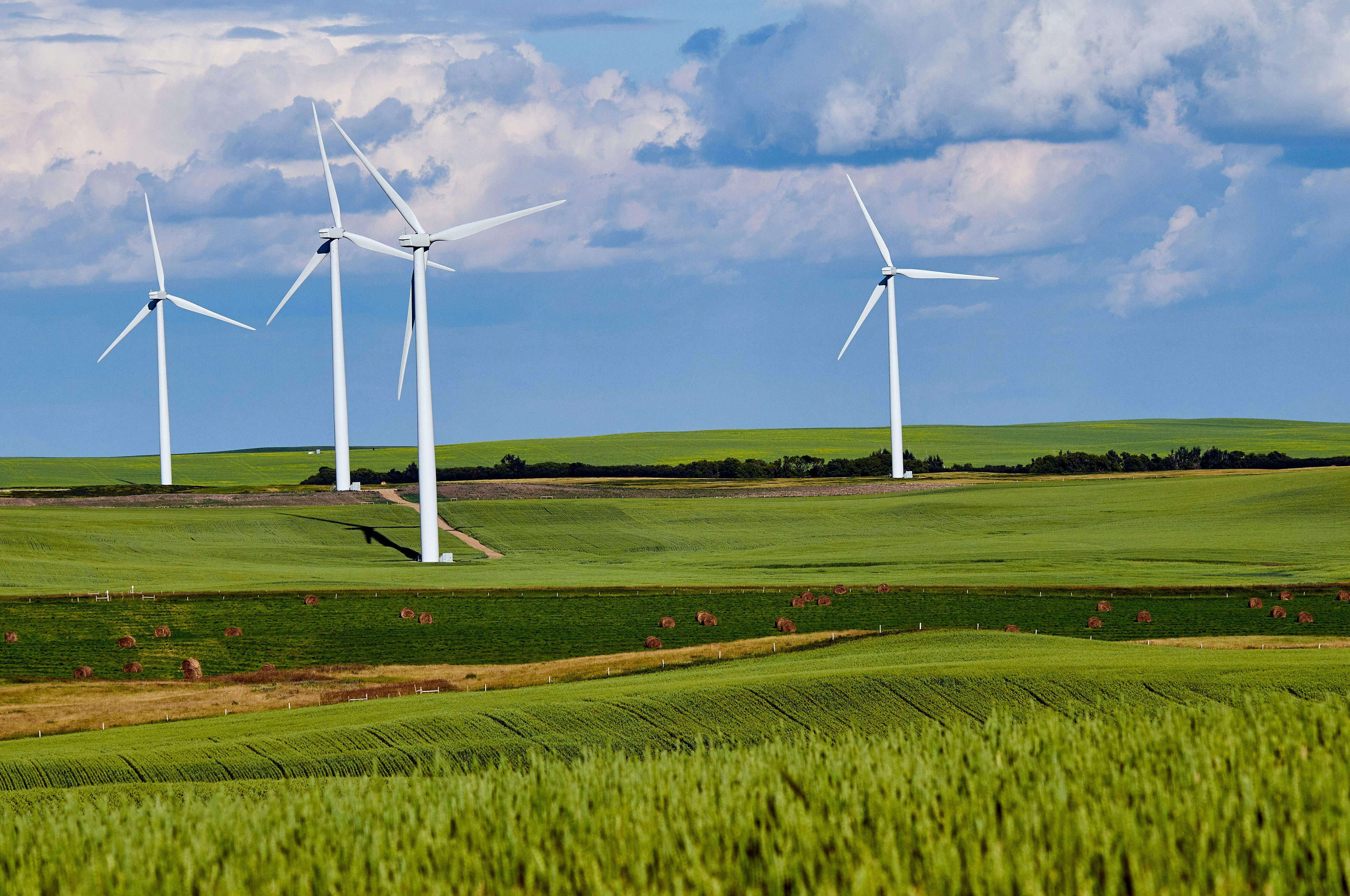 Wind Farm Field