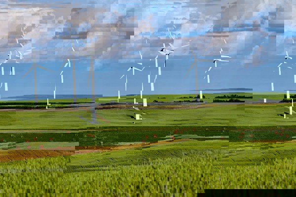 Wind Farm Field