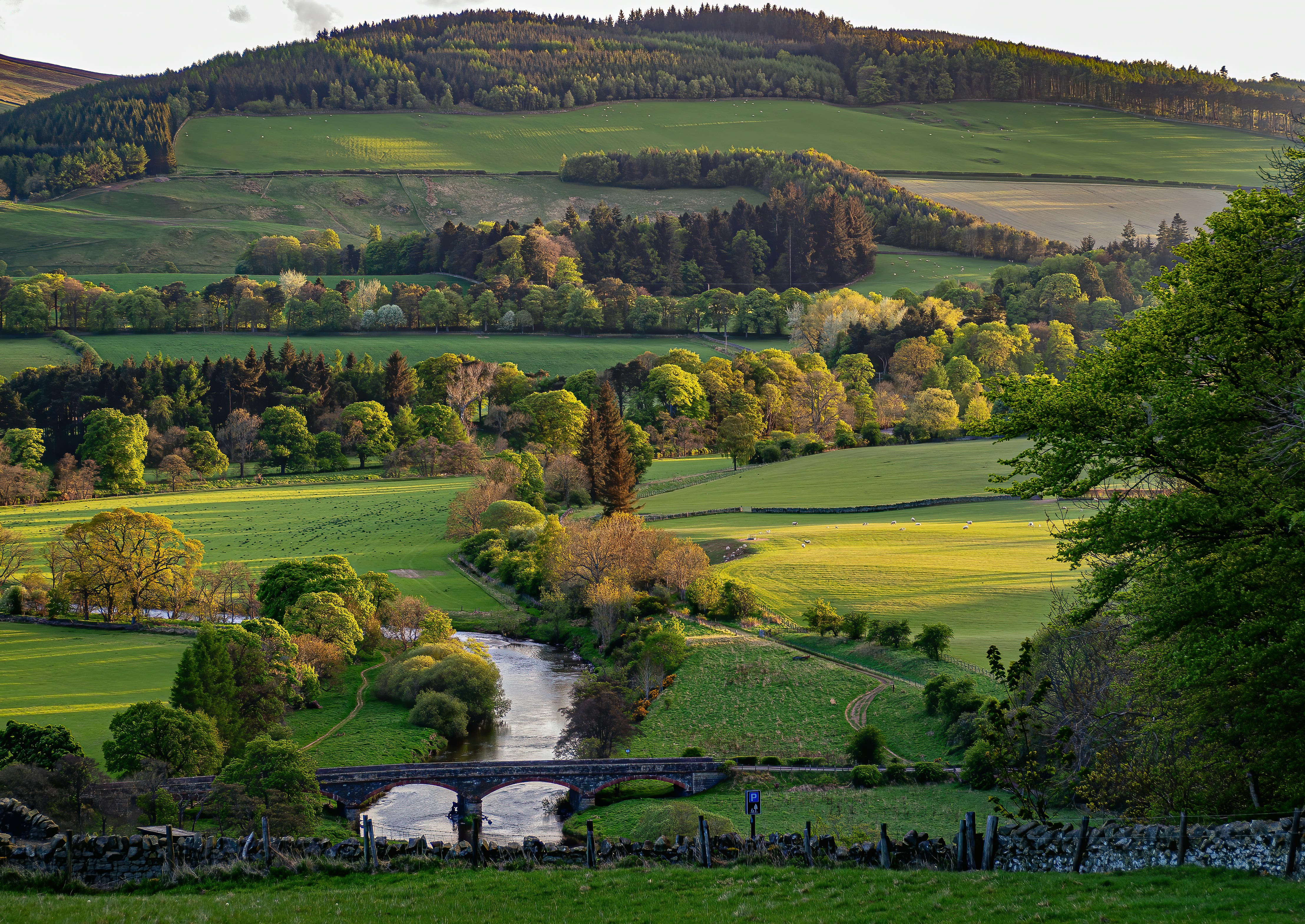 Rolling Scottish countryside with green fields, wooded hills and a winding river crossed by a stone bridge, viewed from an elevated vantage point.