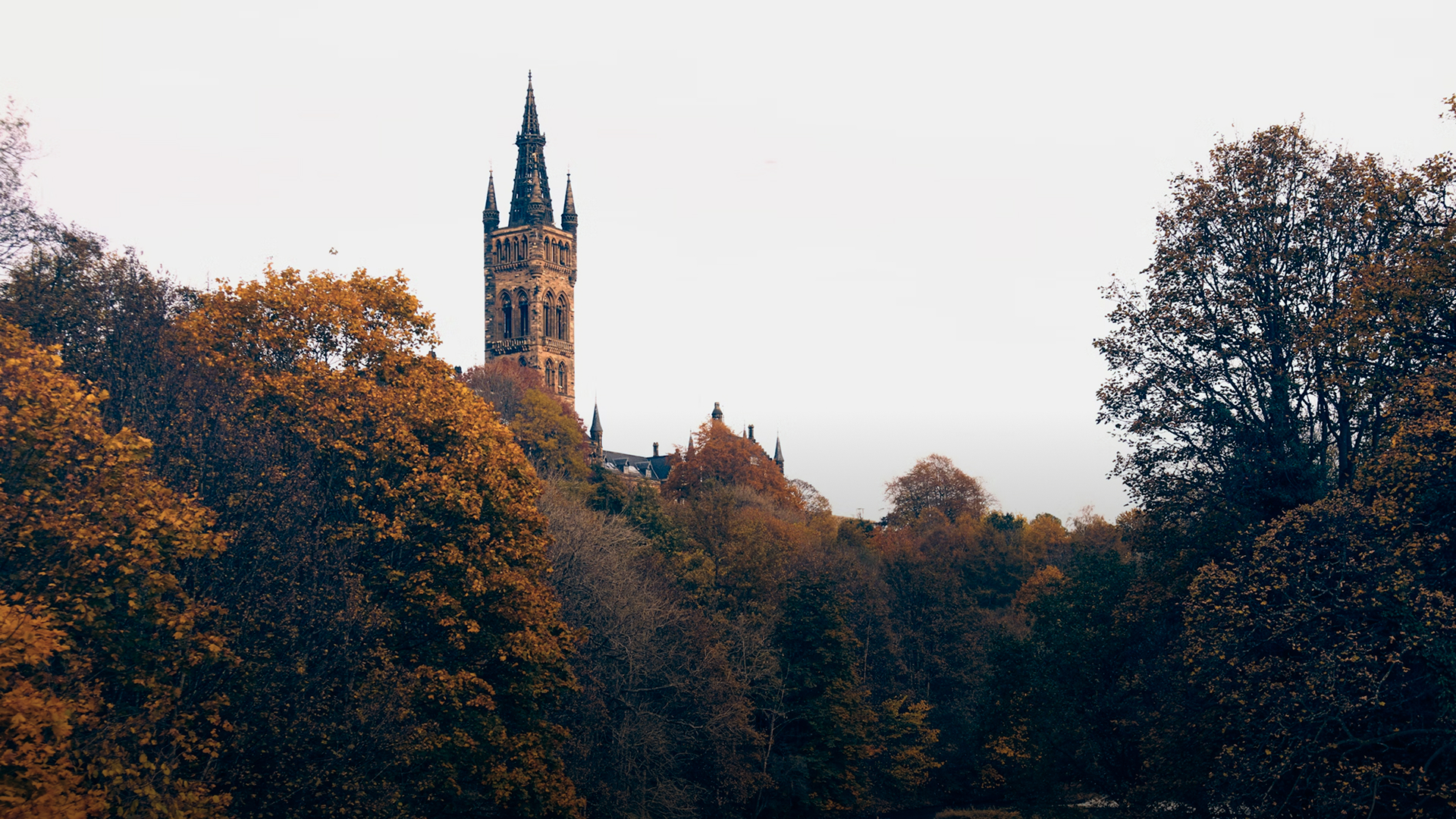 Theview 2025 Autumn Hero