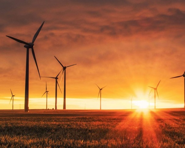 ICP - WIND MILL .jpg
