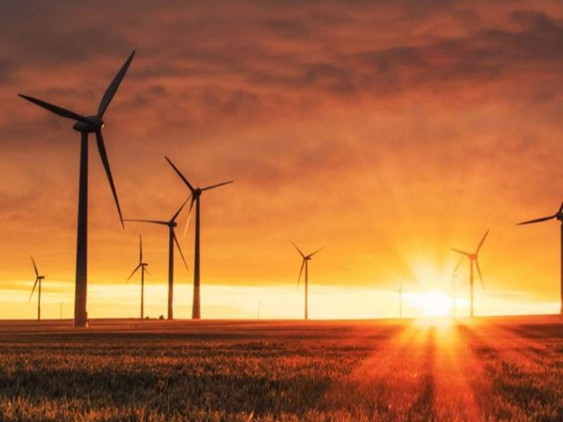 ICP - WIND MILL .jpg