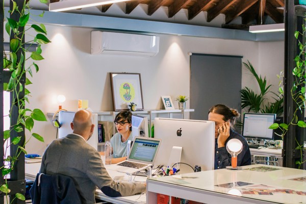 Office employees working collaboratively in a modern open-plan workplace with computers, desks and meeting spaces surrounded by indoor plants. The image represents workplace culture, employee engagement and organisational planning.