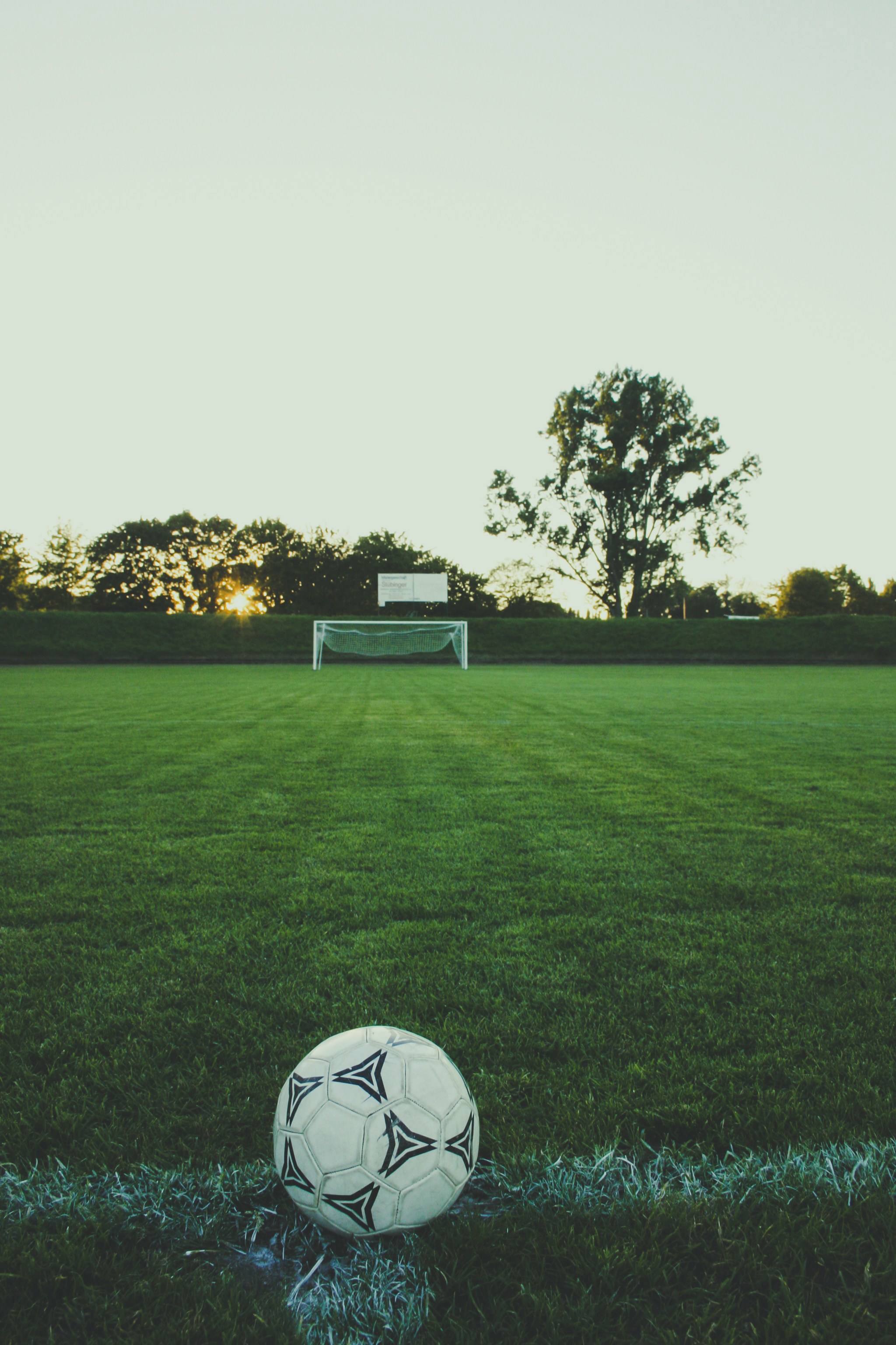 A white football resting on the edge of a green grass pitch, with a goalpost in the distance and trees silhouetted against a clear evening sky