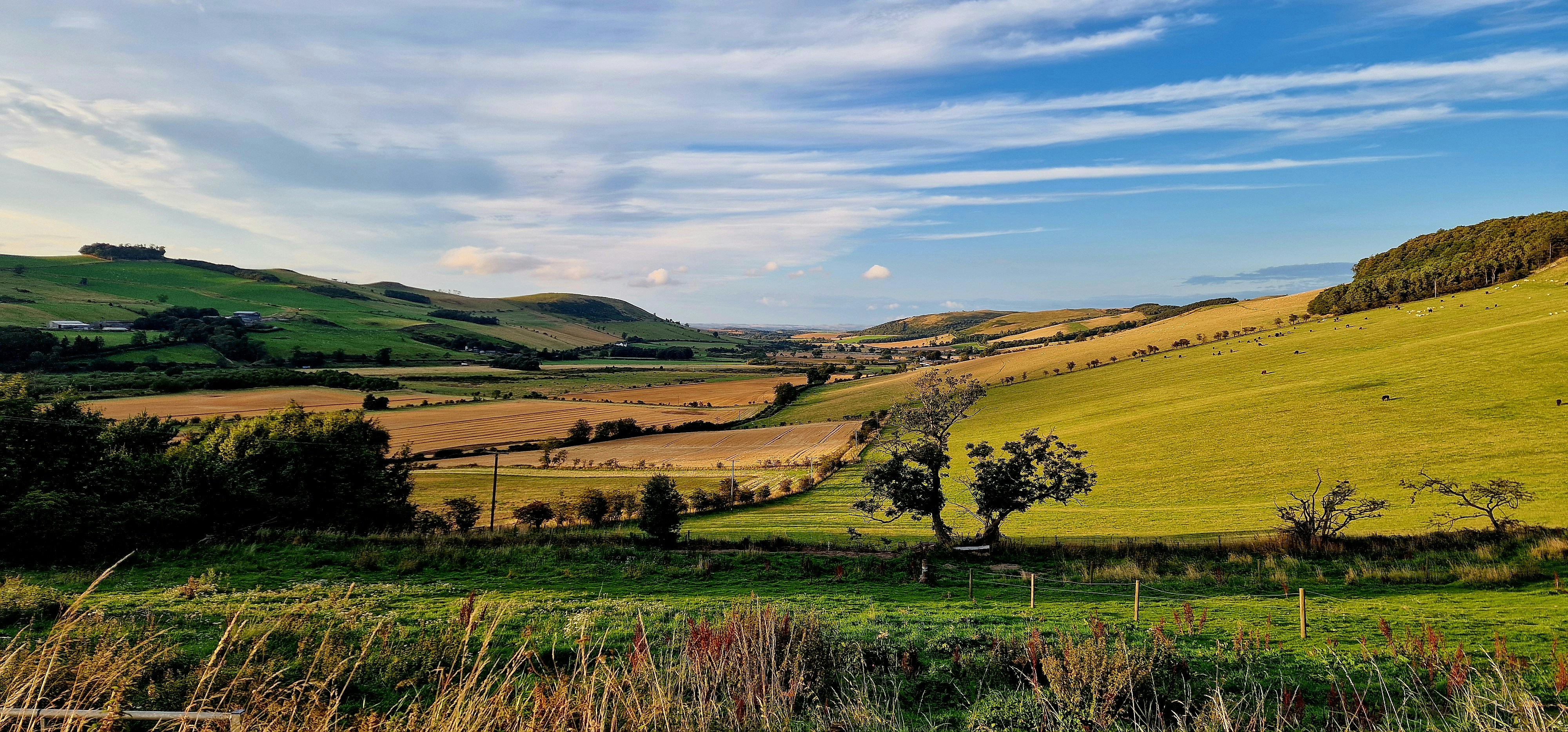 Wide view of rolling countryside with patchwork fields, hedgerows and gently sloping farmland.