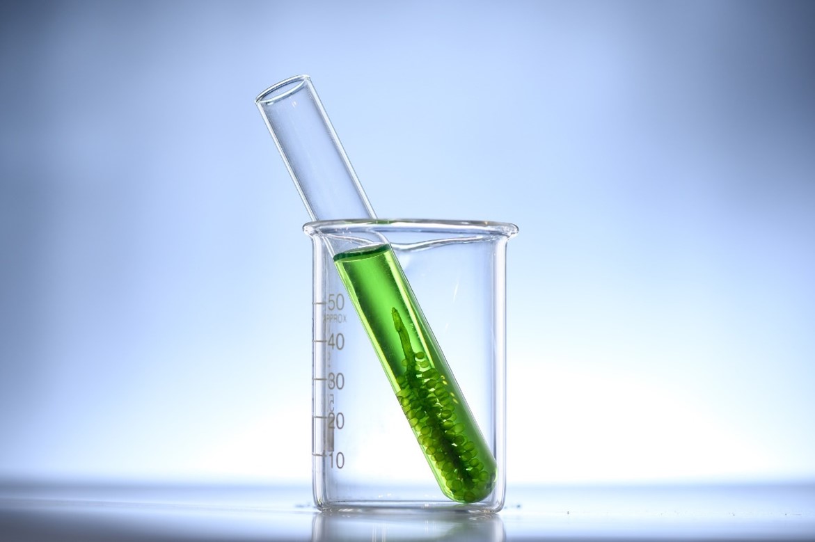 Microalgae
