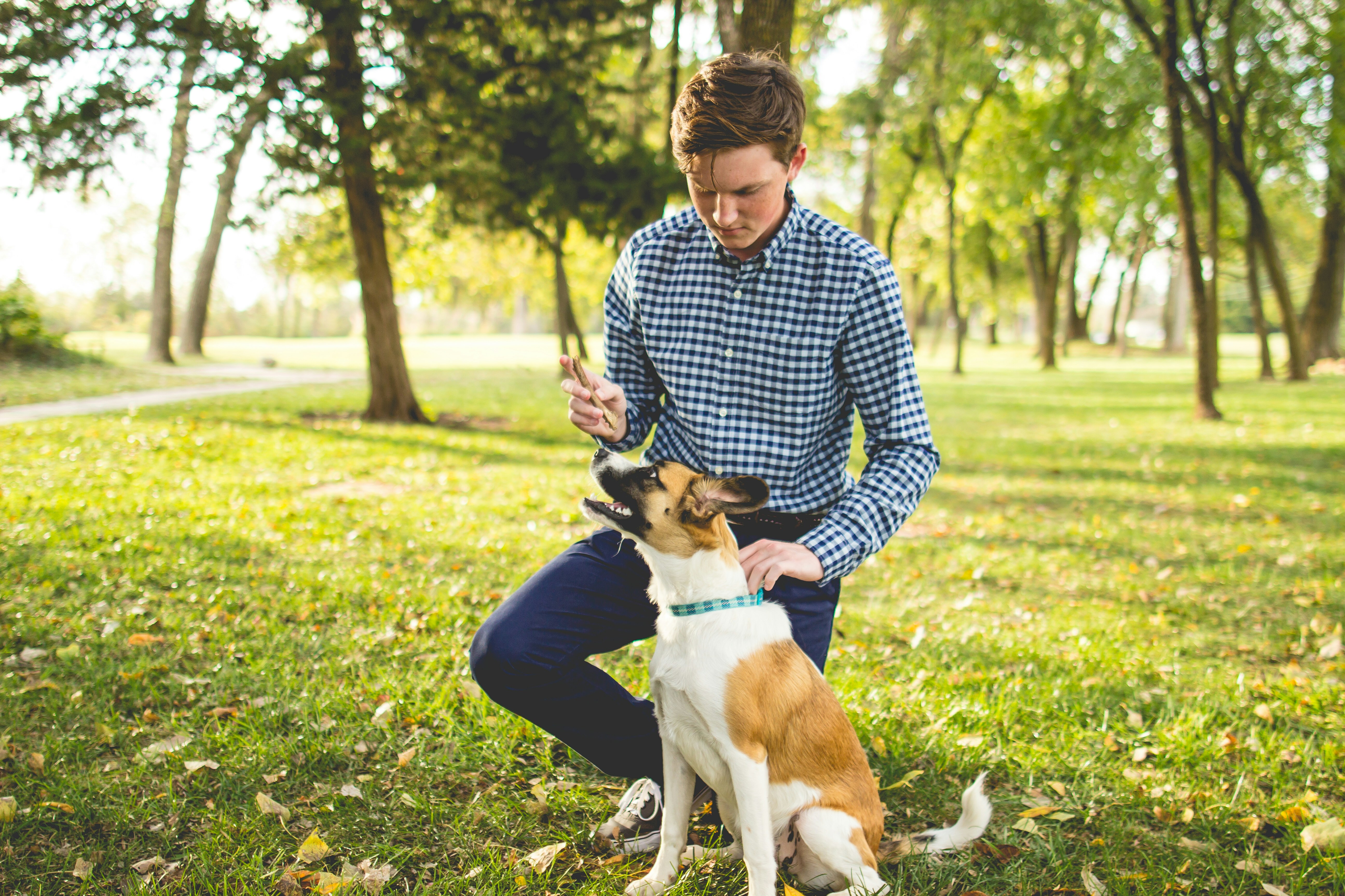 Dog handler working with a dog during an outdoor training session in a park.