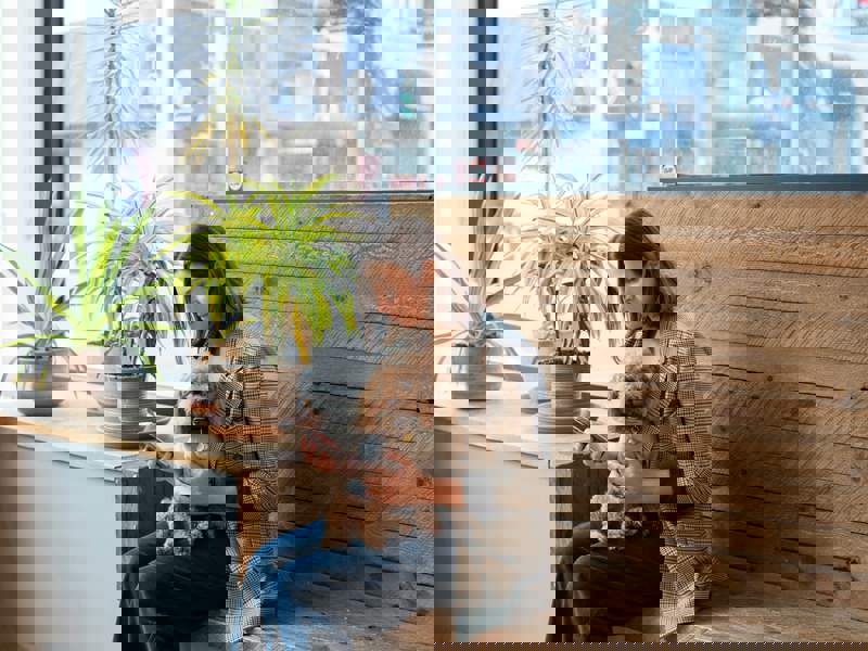 Pet owner sitting with a dog while checking information on a mobile phone in a waiting area.