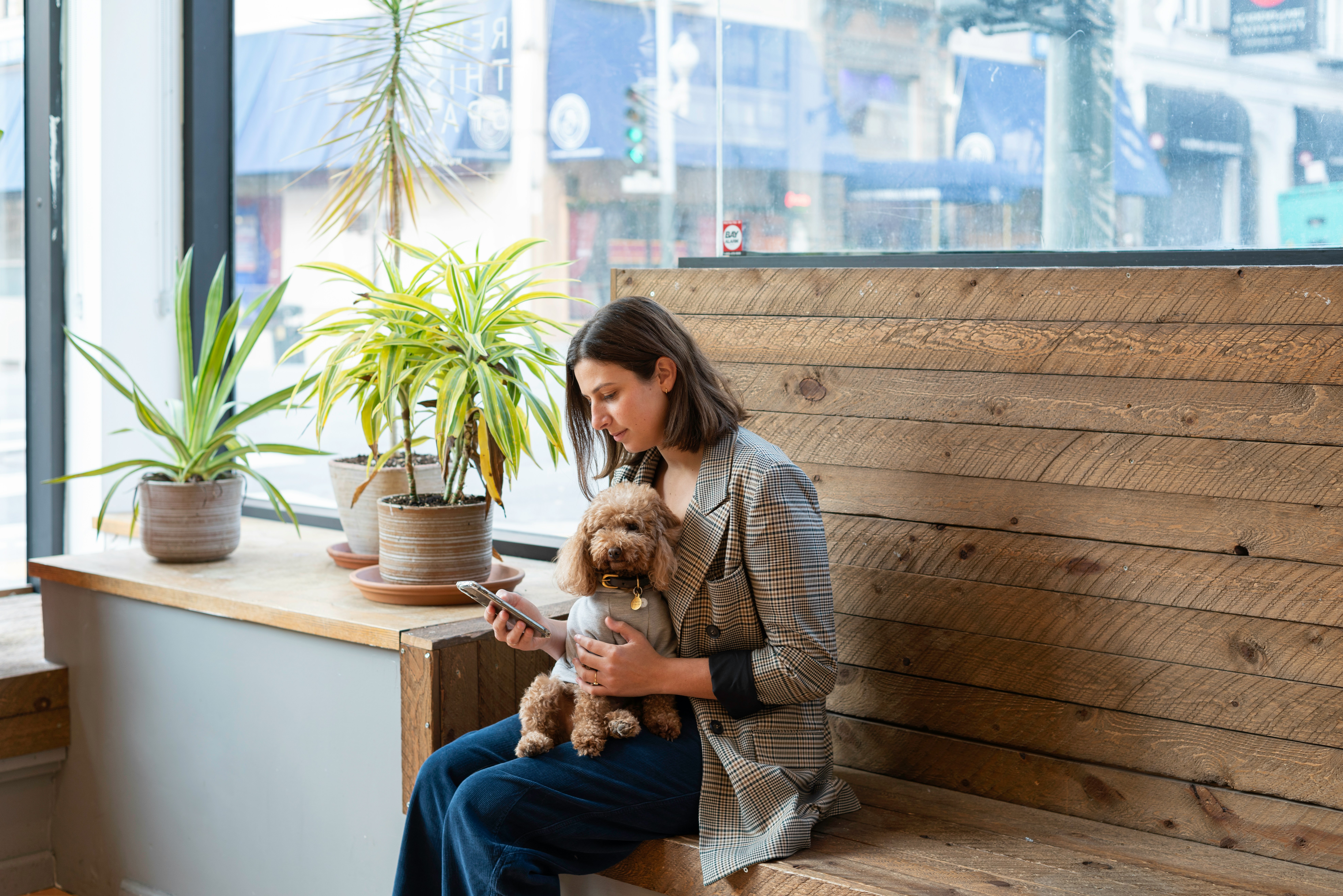 Pet owner sitting with a dog while checking information on a mobile phone in a waiting area.