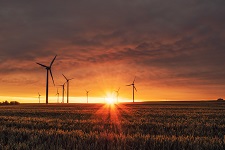 Wind Farm Dusk