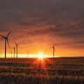 Wind Farm Dusk